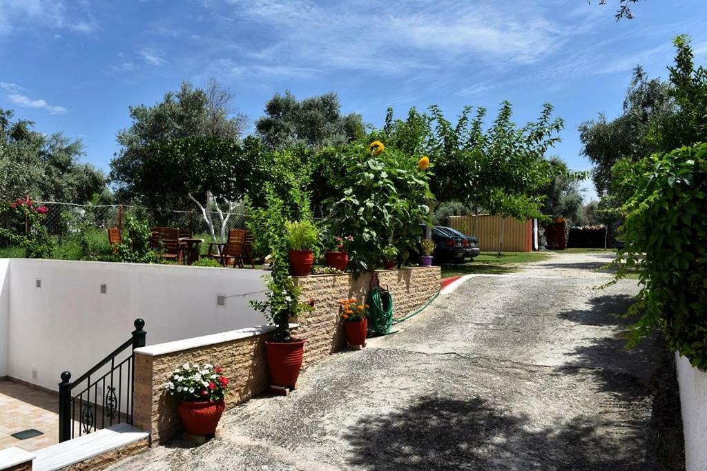 Marmaron Rooms Αγιόκαμπος Εξωτερικό φωτογραφία